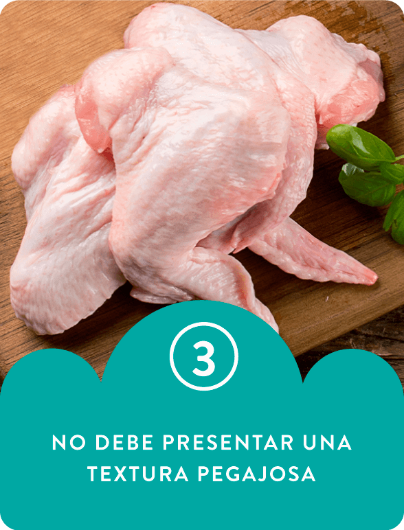 tarjetas-web-norteno-3