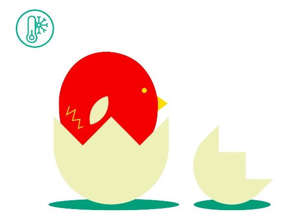 paso-3-eclosion